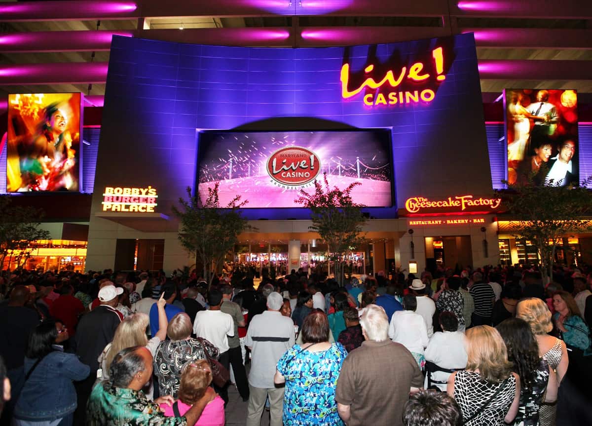 live casino