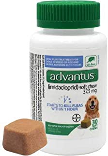 Advantus  Soft Chew