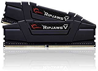 Best g skill ripjaws 2x8gb Reviews