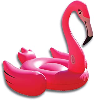 Best flamingo party float Reviews