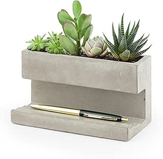 Kikkerland Concrete Desktop Planter, Large (PL02-L)