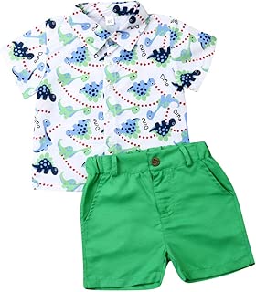Toddler Baby Boy Flamingo Short Sleeve Button Down Shirt & Casual Shorts Set Summer Outfits 1-6 Years Clothes