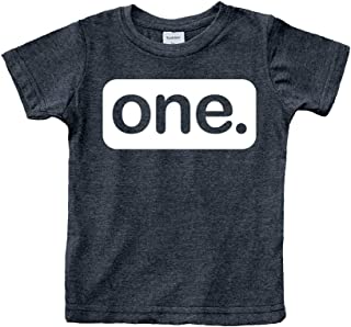 First Birthday Outfit boy 1st Birthday boy Gifts one Year Old Baby Boys Shirt