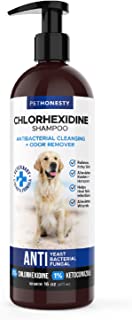 PetHonesty Antibacterial & Fungus Treatment Shampoo 16 oz. w/Ketoconazole & Aloe for Dogs & Cats, Treats Itching, Hot Spots, Ringworm, Pyoderma & Allergies, Anti-Odor Dog Shampoo