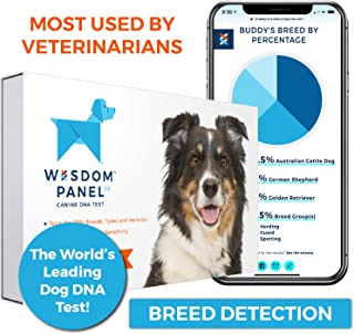 Best puppy dna breed test Reviews