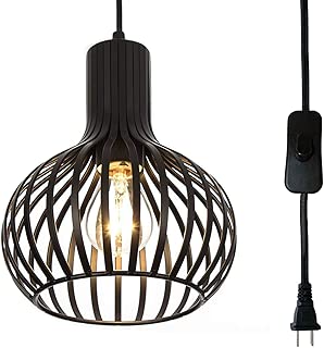 Riomasee Industrial Wire Cage Plug in Pendant Light 14.27 Ft Hanging Light Cord with On/Off Switch,Vintage Black Metal Hanging Lamp