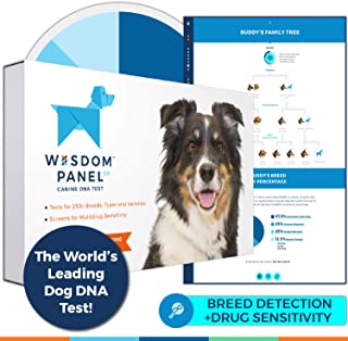 Wisdom Panel 3.0 Canine DNA Test - Dog DNA Test Kit for Breed and Ancestry Information