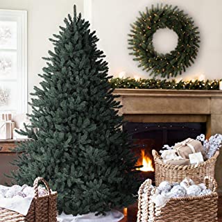 Best balsam house christmas trees Reviews