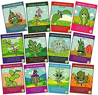 Best summer savoury seeds Reviews