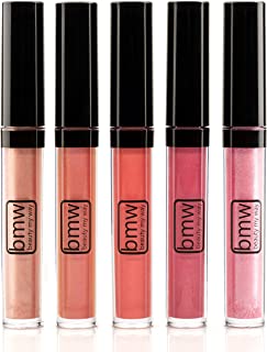 5 PCS LIP GLOSS SET PROFESSIONAL HIGH SHINE SHIMMERING MUST HAVE SHADES