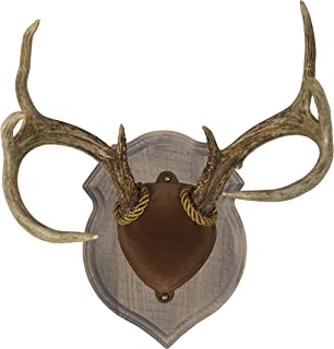 Walnut Hollow Country Deluxe Antler Mount Kit, Solid Pine Rustic Barn Board Finish