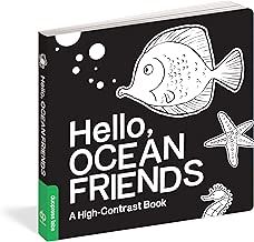Hello, Ocean Friends: A High-Contrast Book