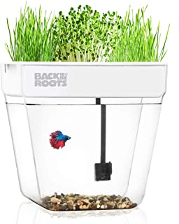 Best water garden self cleaning fish tank that grows food Reviews