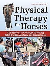Best horse of course Reviews