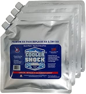 4 Mid-Size Cooler Freeze Packs 10