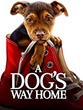 Best the breed movie dogs Reviews